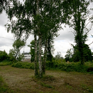 2013 Querbeet-Open