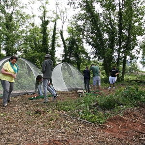 2013 Querbeet-Open